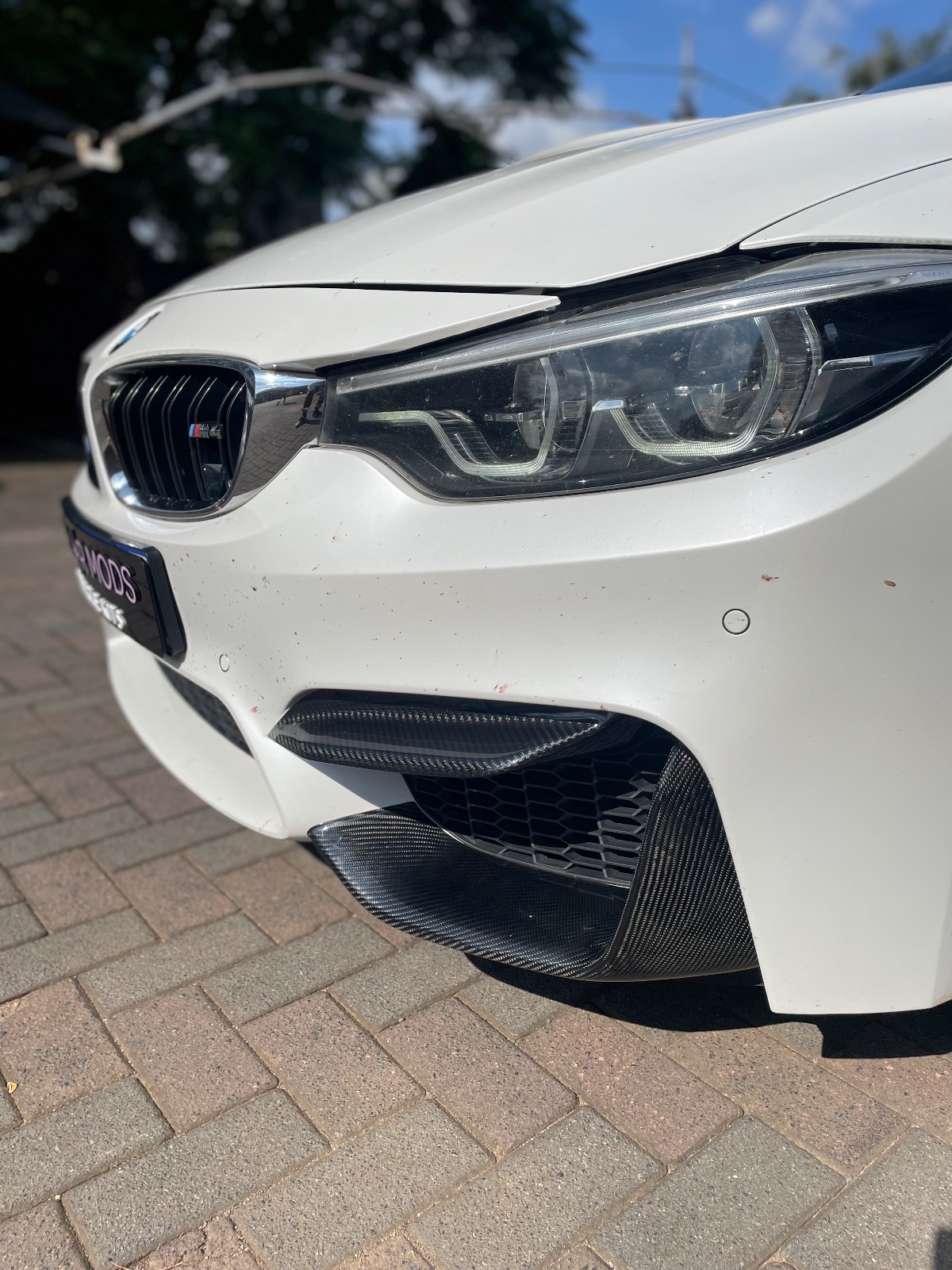 Carbon Fibre Front Bumper Fangs