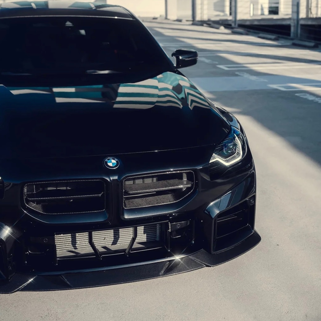 Carbon Fibre Alpha Style Front Grilles